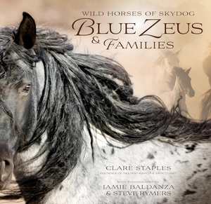 Wild Horses of Skydog: Blue Zeus and Families — Skydog Ranch